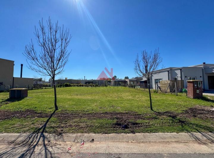 Terreno · 447m²