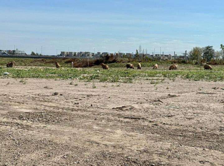 Terreno · 744m²