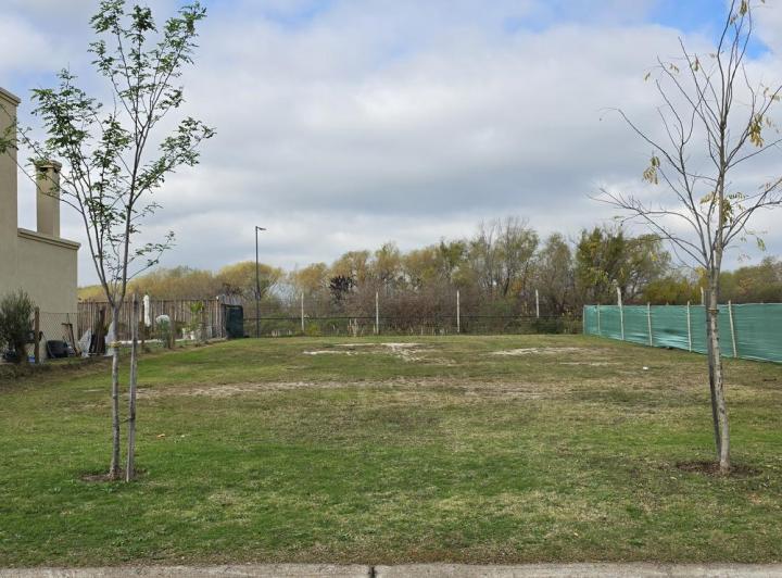 Terreno · 550m²