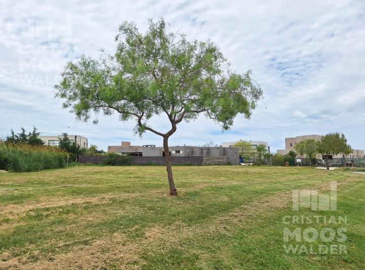 Terreno · 827m²