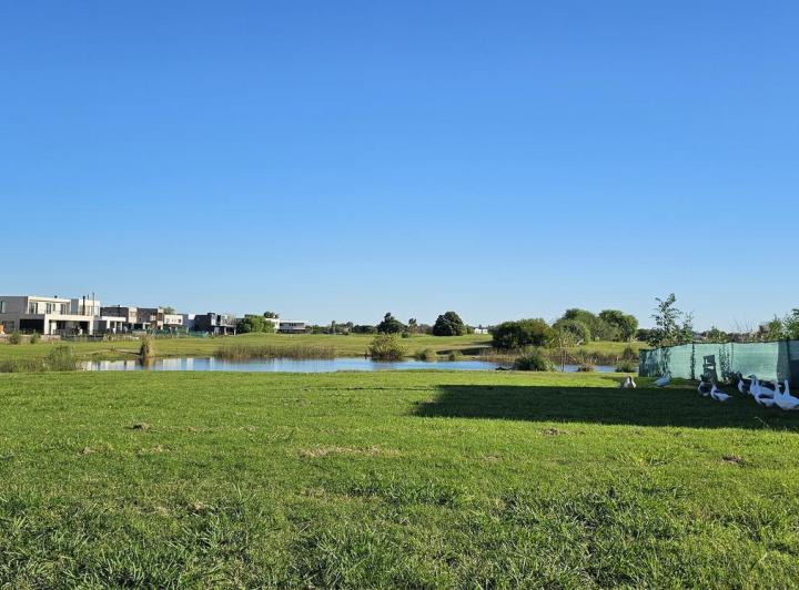 Terreno · 846m²