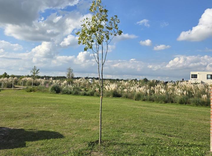 Terreno · 809m²