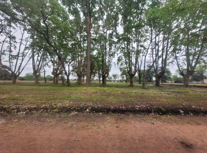 Terreno · 1m²