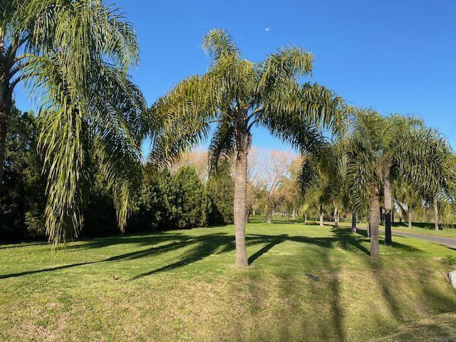 Terreno · 810m²