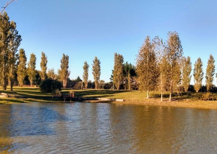 Terreno · 1751m²