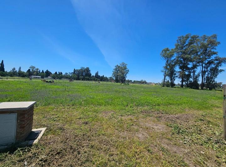 Terreno · 517m²