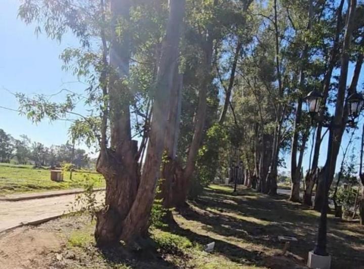 Terreno · 540m²