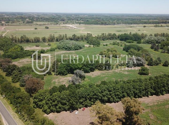 Terreno · 13650m²