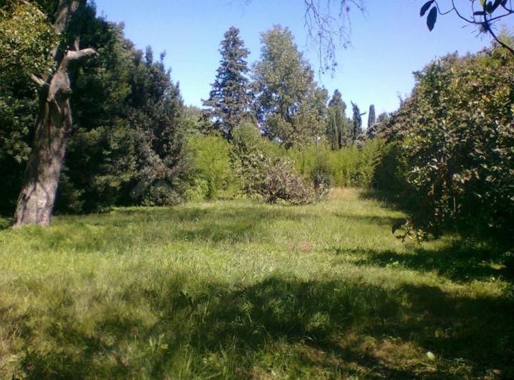 Terreno · 330m²