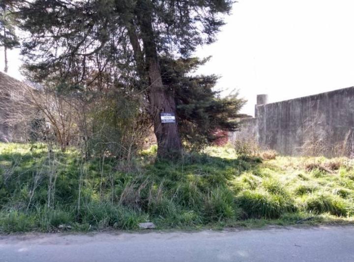 Terreno · 320m²
