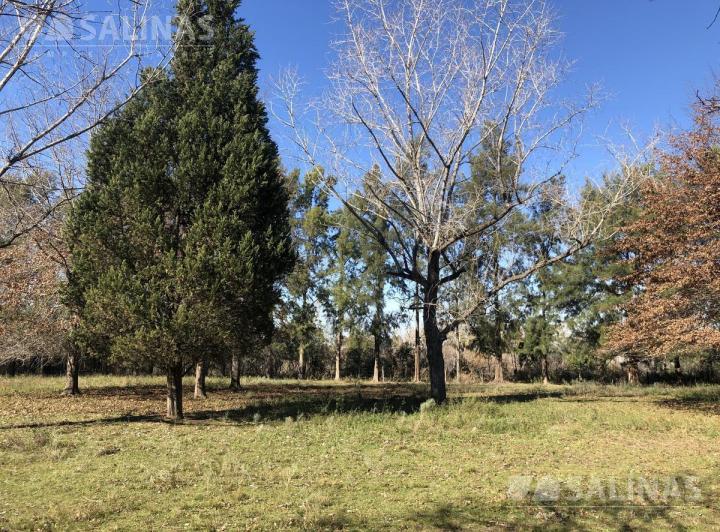 Terreno · 1200m²