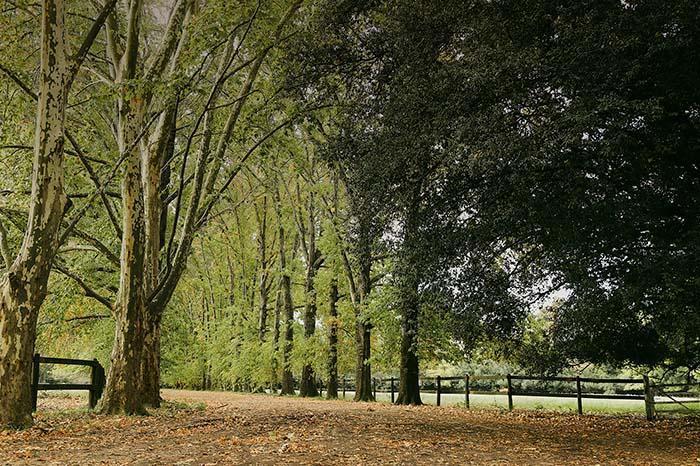 Terreno · 1019m²