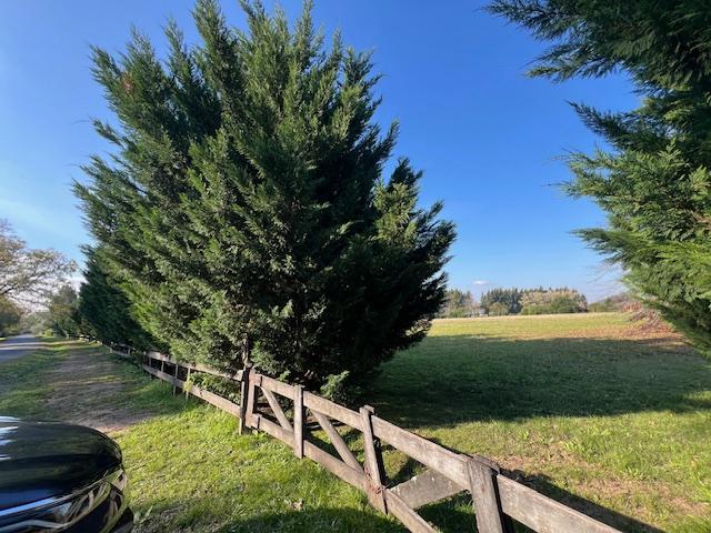 Terreno · 31381m²