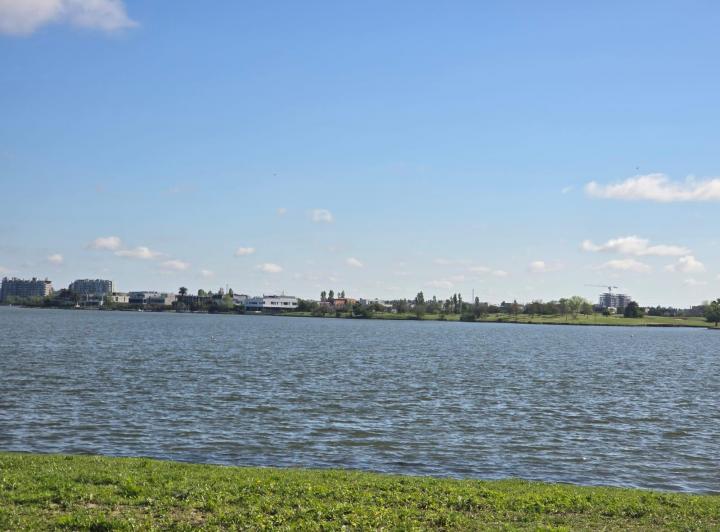 Terreno · 1236m²