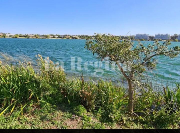 Terreno · 955m²