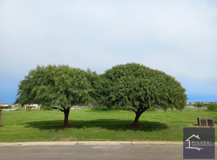 Terreno · 1118m²