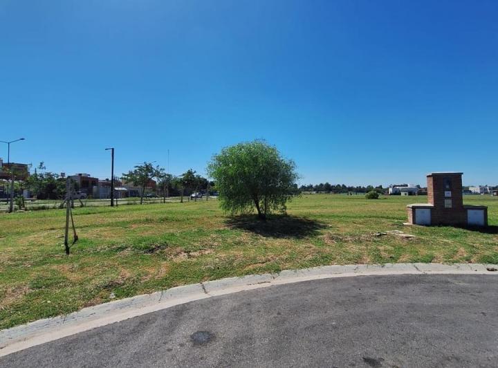 Terreno · 705m²