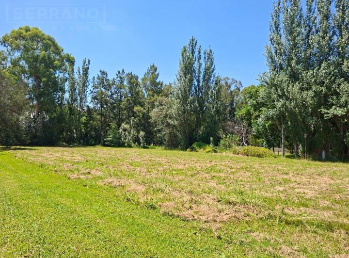Terreno · 1950m²