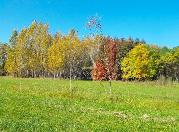 Terreno · 2000m²
