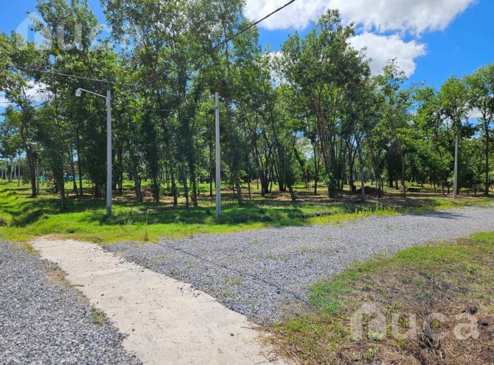 Terreno · 615m²