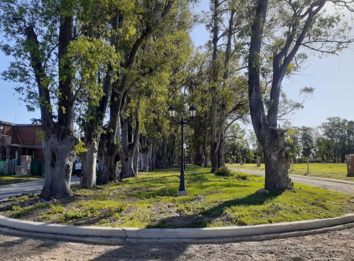 Terreno