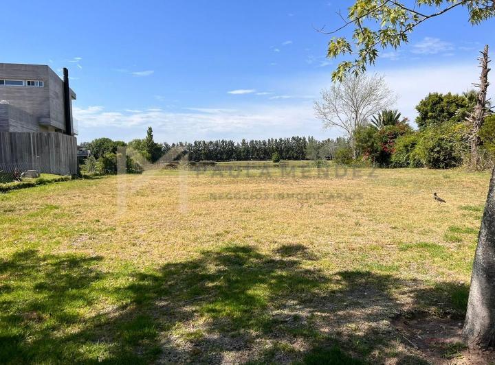 Terreno · 1005m²