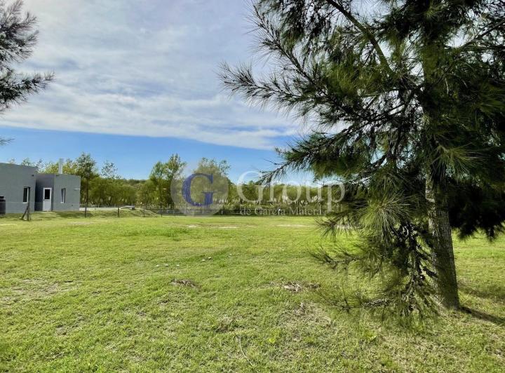 Terreno · 927m²