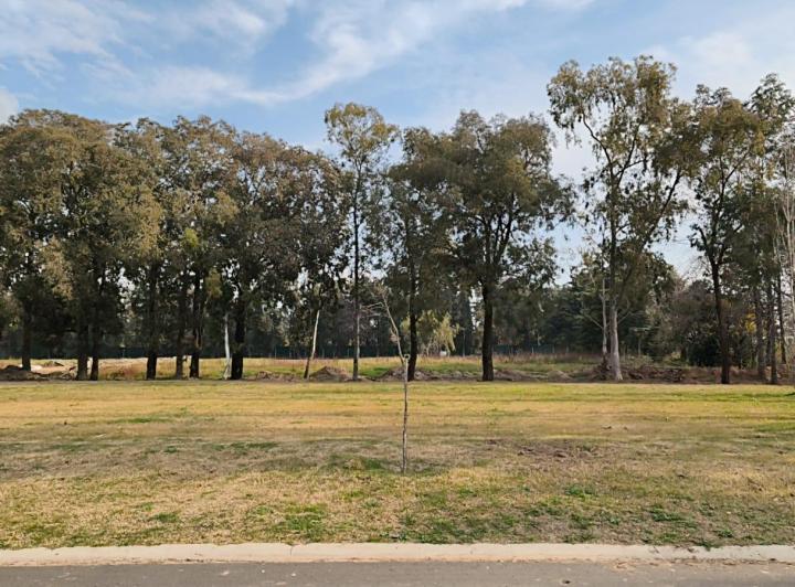 Terreno · 708m²