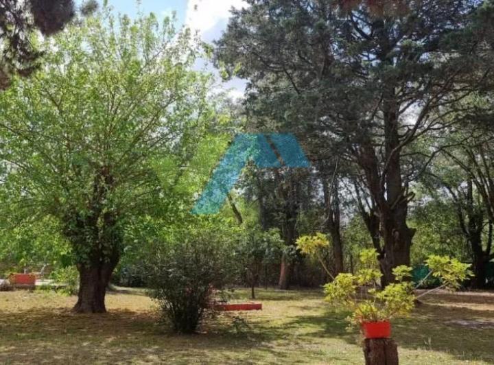 Terreno · 5500m²