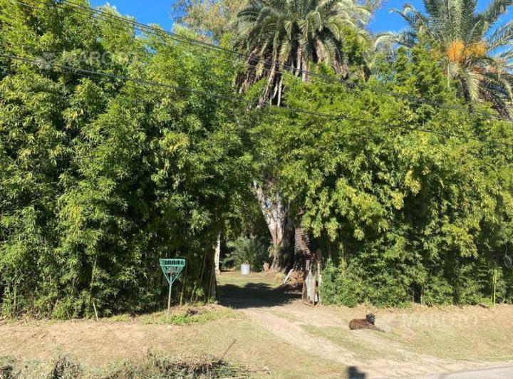 Terreno · 1244m² · 3 Ambientes