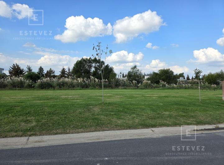Terreno · 806m²
