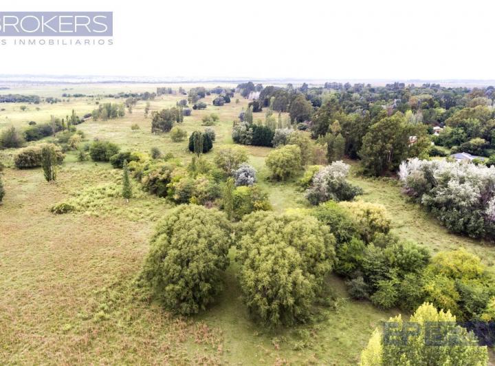 Terreno · 1000m²