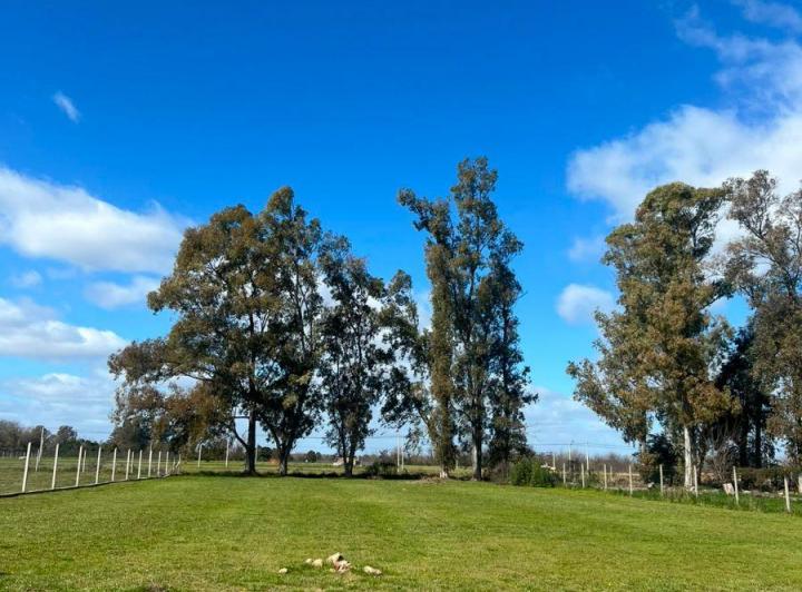 Terreno · 2000m²