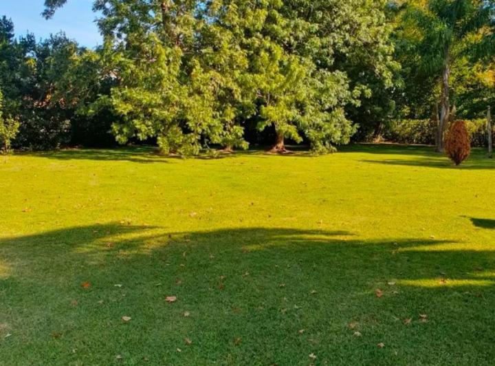 Terreno · 1690m²