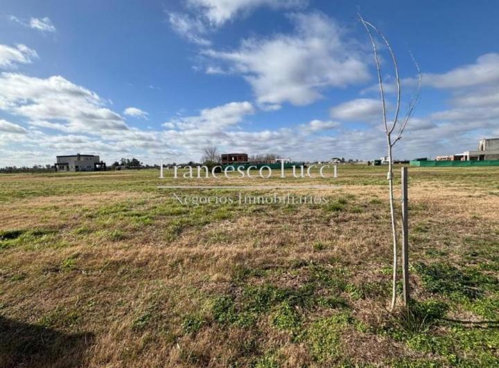 Terreno · 602m²