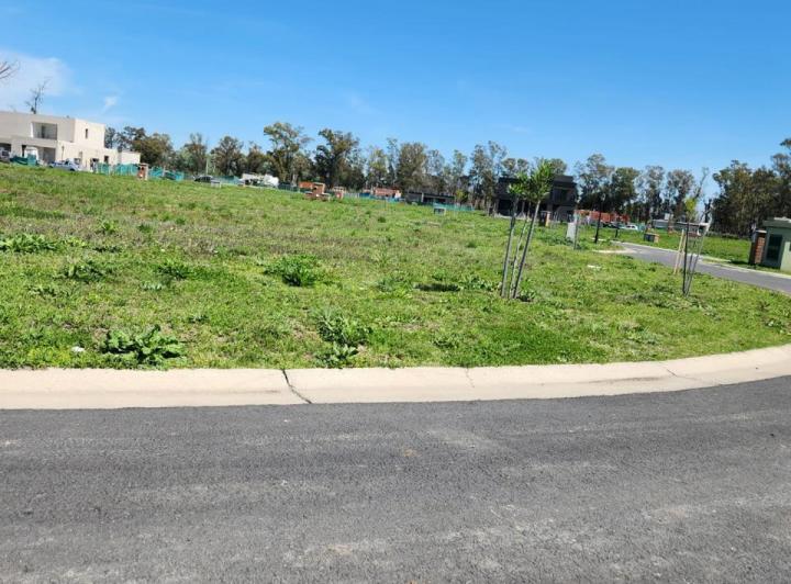 Terreno · 523m²