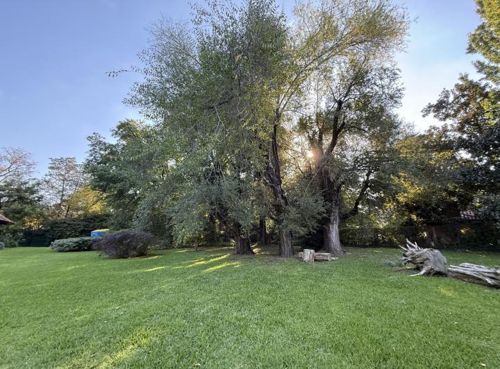 Terreno · 1499m²