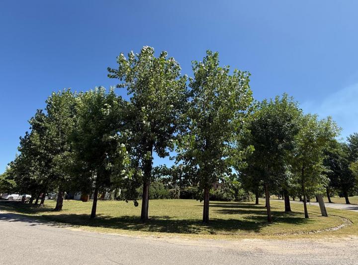 Terreno · 1300m²