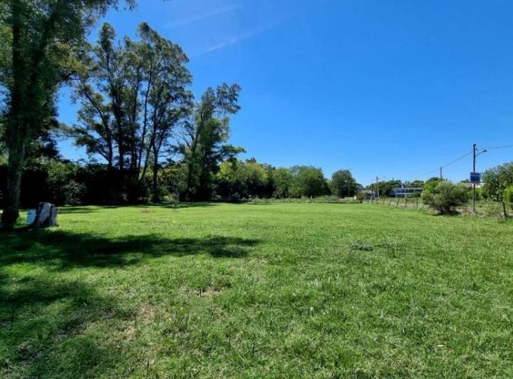 Terreno · 372m²