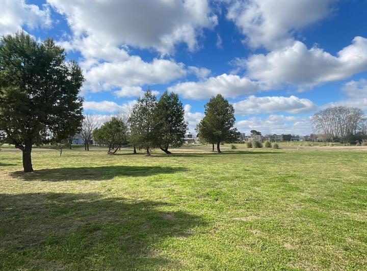 Terreno · 990m²