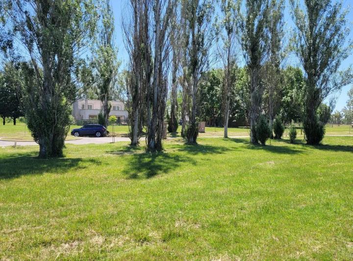 Terreno · 608m²