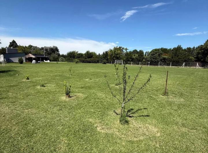 Terreno · 1800m²