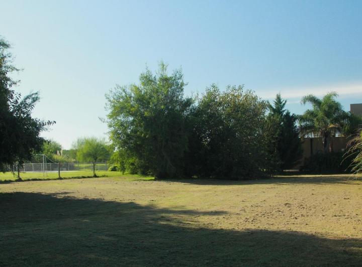 Terreno · 1040m²