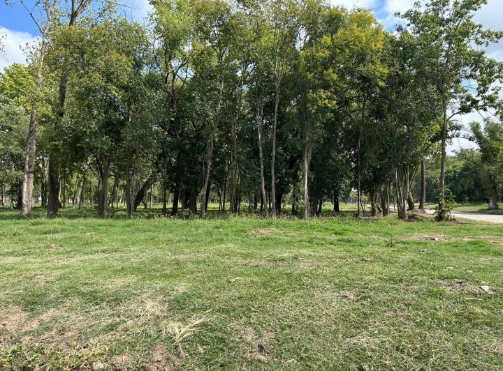 Terreno · 784m²