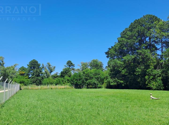 Terreno · 3183m²