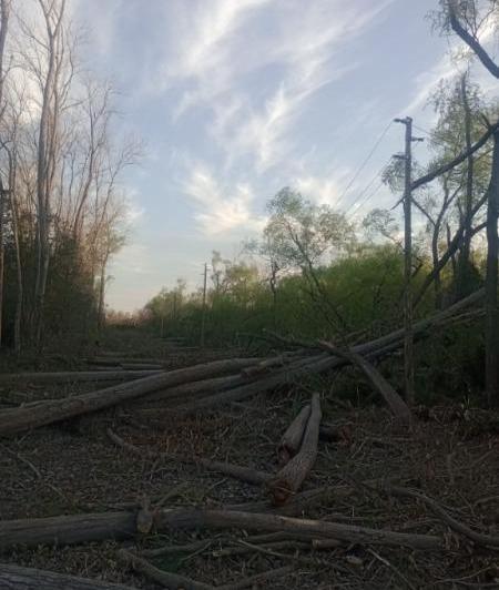 Terreno · 300m²