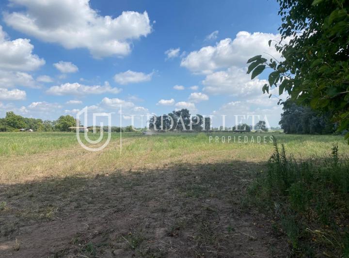 Terreno · 3903m²