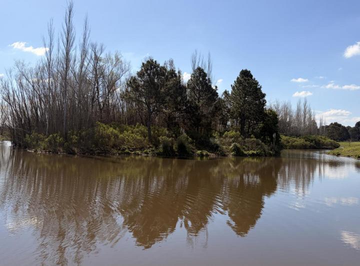 Terreno · 1008m²