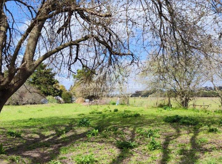 Terreno · 2960m²