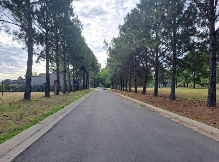 Terreno · 375m²